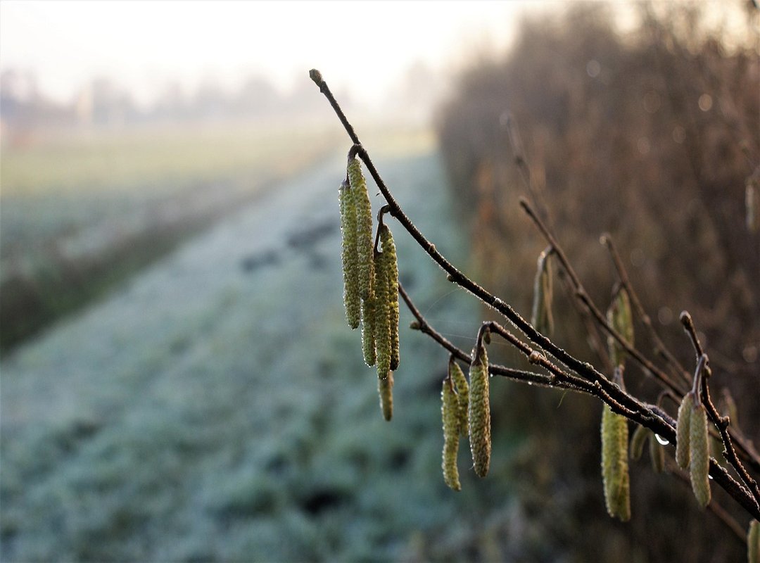 Bfncgaming Gaming News by Befitnatic