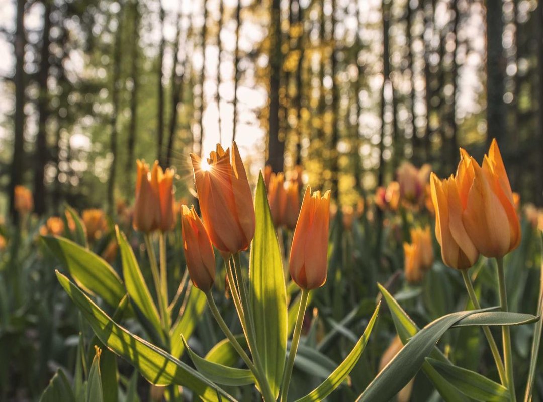 The Real Woman in Coco Legrand's Life: His Wife